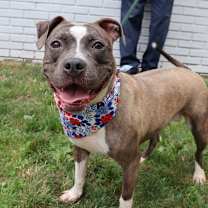 Thumbnail photo of Keeylolo #3