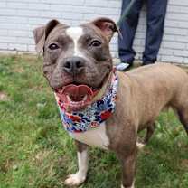 Thumbnail photo of Keeylolo #4