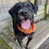 Thumbnail photo of Willie Nelson #1