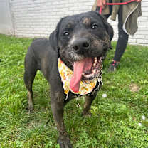 Thumbnail photo of Willie Nelson #3