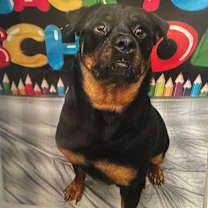 Thumbnail photo of Ryder #1