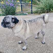 Thumbnail photo of Harper #4