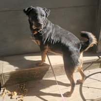 Thumbnail photo of Baby #1