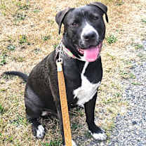 Thumbnail photo of Raymond #1