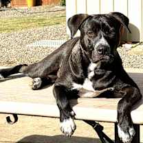 Thumbnail photo of Raymond #2