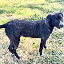 Thumbnail photo of Raymond #3