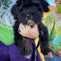 Thumbnail photo of Ring #4