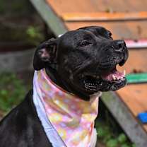 Thumbnail photo of Anastasia #1