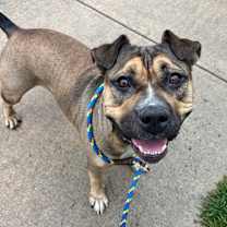 Thumbnail photo of Coltrane #2