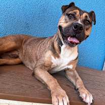 Thumbnail photo of Coltrane #4