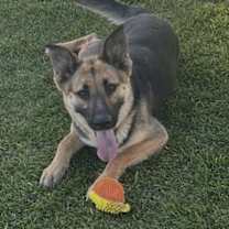 Thumbnail photo of Jade #2