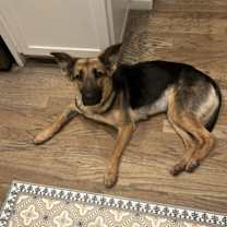 Thumbnail photo of Jade #3