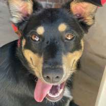 Thumbnail photo of Loretta #3