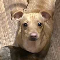 Thumbnail photo of LUDI #1