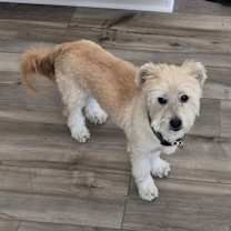 Thumbnail photo of Maxx #3