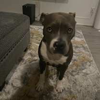 Thumbnail photo of Flower @ Foster #1