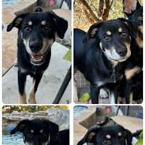 Thumbnail photo of Bane #3