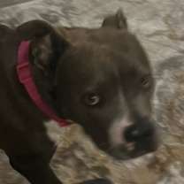 Thumbnail photo of Flower @ Foster #4