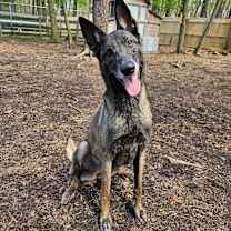 Thumbnail photo of Jesi #2