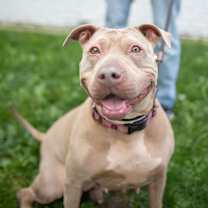 Thumbnail photo of Skylar #1