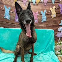 Thumbnail photo of Jesi #4