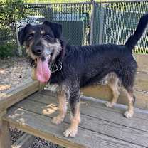 Thumbnail photo of Blue #4