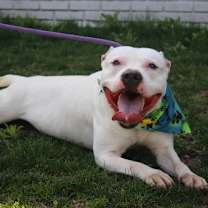 Thumbnail photo of Gilmore #3