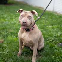 Thumbnail photo of Skylar #2