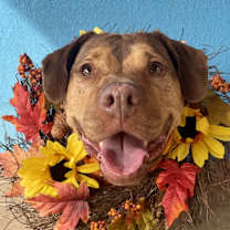 Thumbnail photo of Mable #1