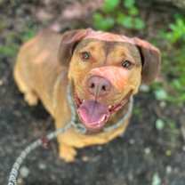 Thumbnail photo of Mable #2