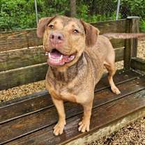 Thumbnail photo of Mable #3