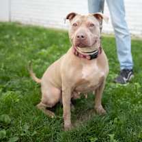 Thumbnail photo of Skylar #4