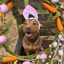 Thumbnail photo of Mable #4