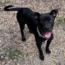 Thumbnail photo of Larry #2