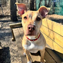 Thumbnail photo of Honey #4