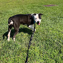 Thumbnail photo of Felicity #3