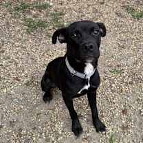 Thumbnail photo of Larry #3