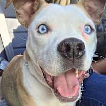 Thumbnail photo of Miley #2