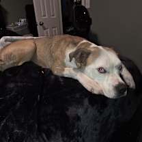 Thumbnail photo of Miley #2