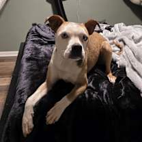 Thumbnail photo of Miley #4