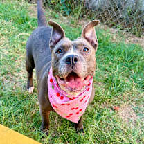 Thumbnail photo of Delphina #1