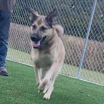 Thumbnail photo of Polly #1