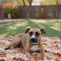 Thumbnail photo of Wren #3