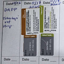 Thumbnail photo of Gisele #2