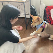 Thumbnail photo of Chico #4