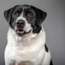 Thumbnail photo of Negan #1