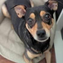 Thumbnail photo of Jessica Day #1