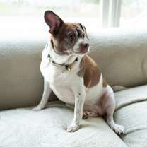 Thumbnail photo of Tina #2