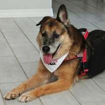 Thumbnail photo of Marcus #3