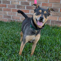 Thumbnail photo of Jessica Day #2